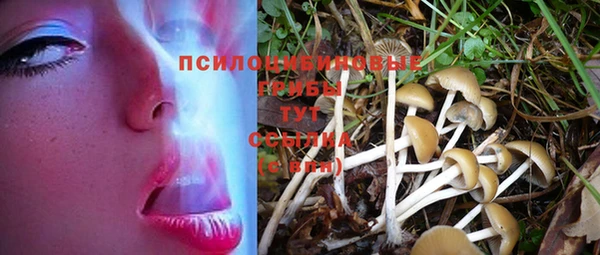 эйфоретик Каменка