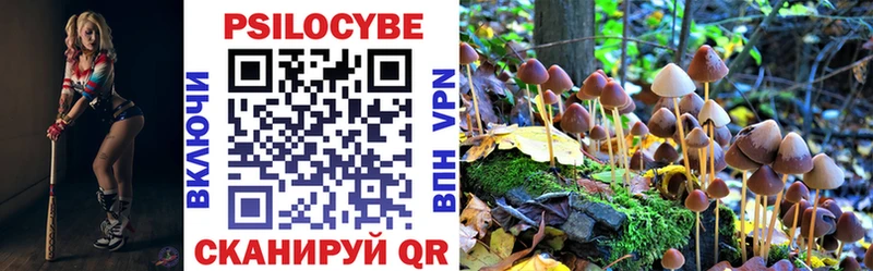 Псилоцибиновые грибы Magic Shrooms  где найти наркотики  kraken ТОР  darknet клад  Лермонтов 