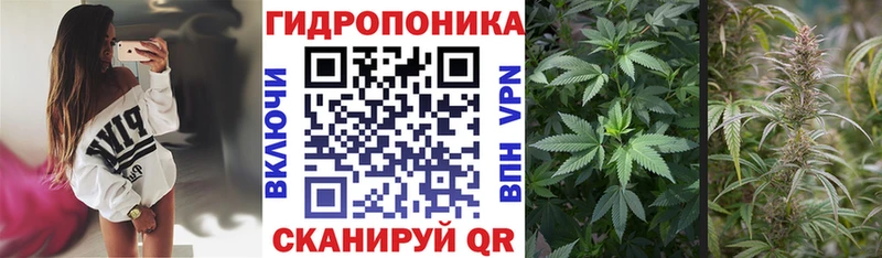 МАРИХУАНА индика  Лермонтов 